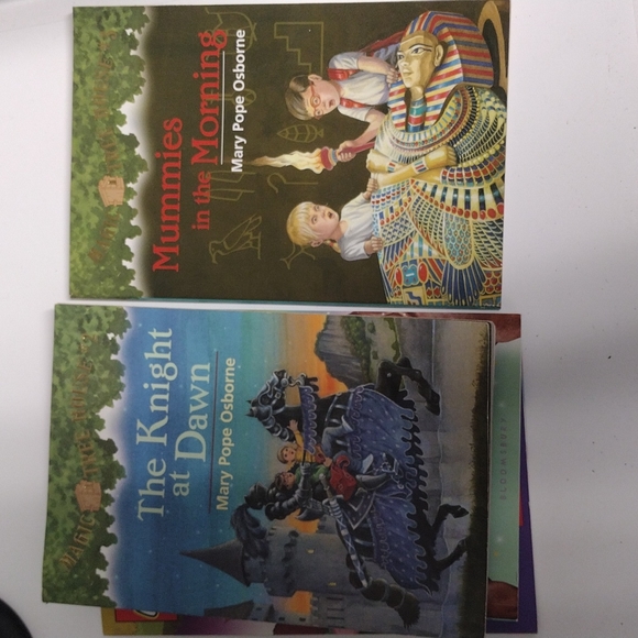 Books Magic Treehouse, Lego Friends and Princess ponies - Picture 3 of 4